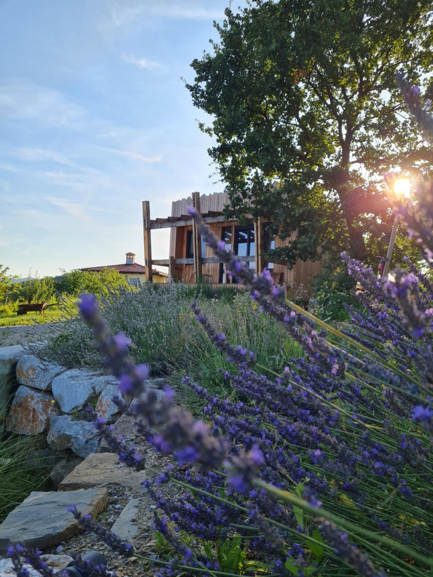 Апартаменти Panorama Glamping Vipavska Dolina Dobravlje Екстер'єр фото