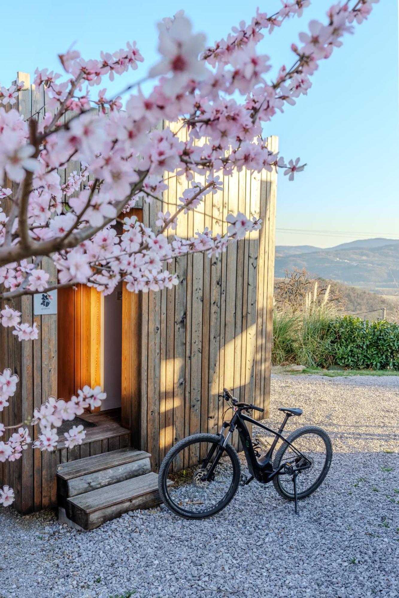 Апартаменти Panorama Glamping Vipavska Dolina Dobravlje Екстер'єр фото